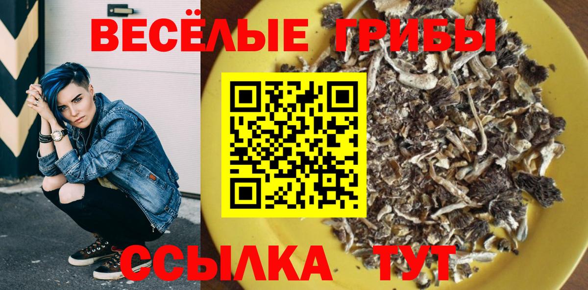 Псилоцибиновые грибы мицелий Прокопьевск