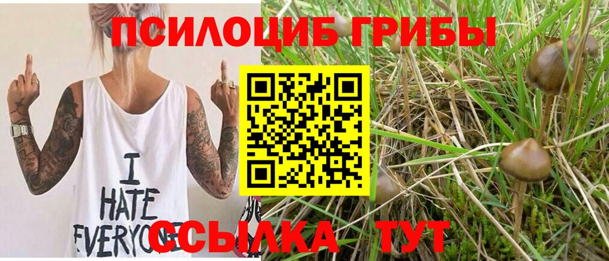 Галлюциногенные грибы мухоморы  Вход с VPN  Прокопьевск  Галлюциногенные грибы прущие грибы 